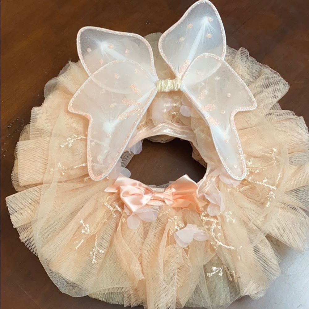 Newborn tutu and wings